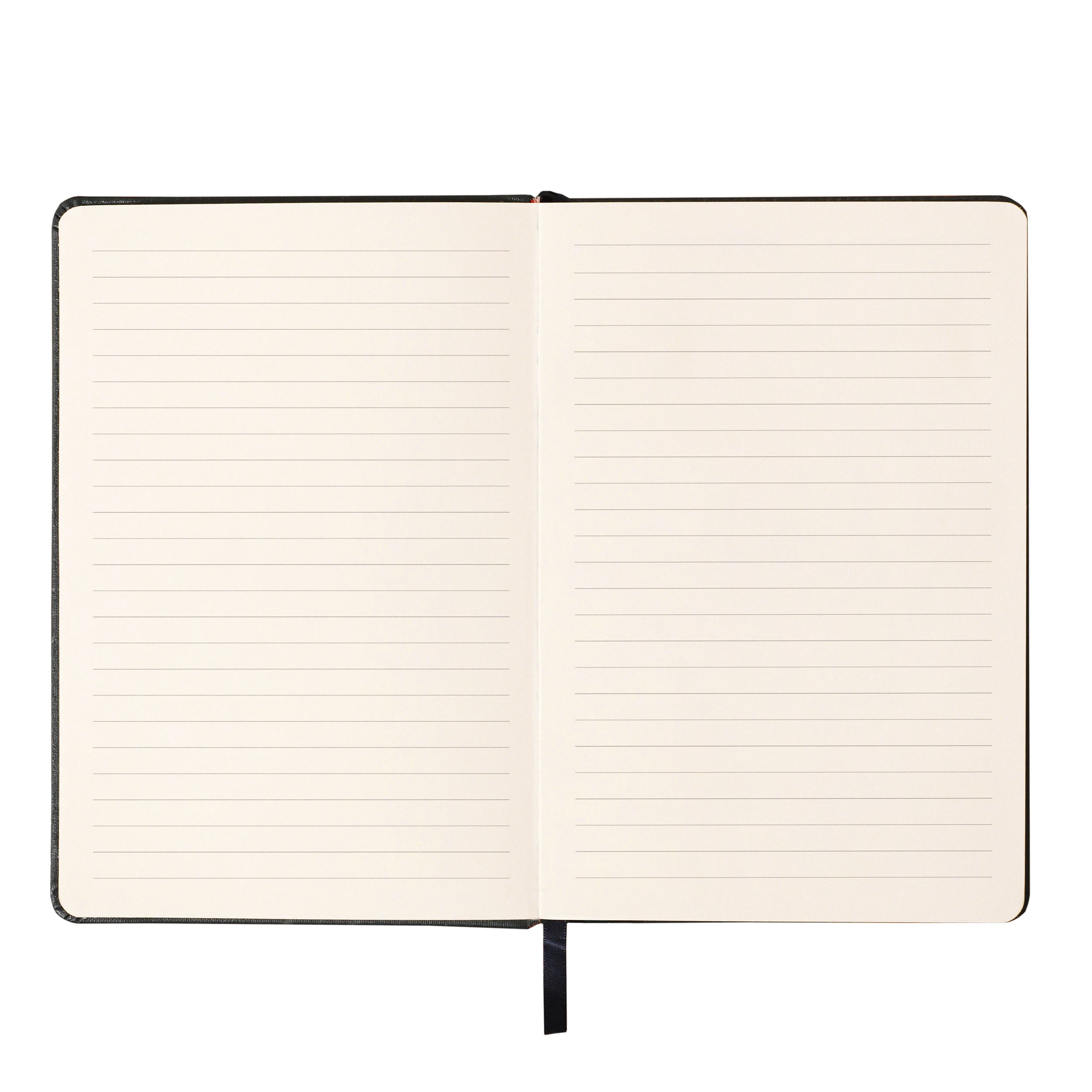 The Journal